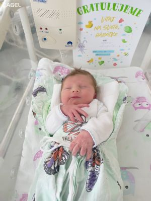 Zvolenská nemocnica vlani zaznamenala 1121 pôrodov, päťkrát sa narodili dvojičky
