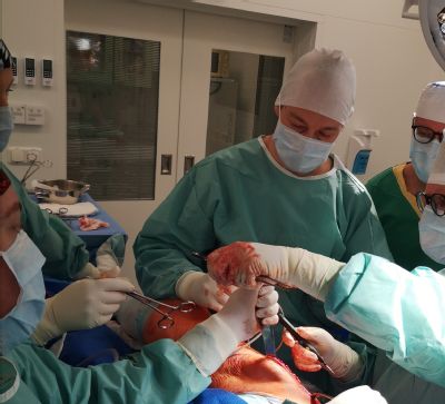 Zvolenská nemocnica spustila operácie umelých náhrad kĺbov       Výhodou je skúsený personál a krátke čakacie časy na hospitalizáciu