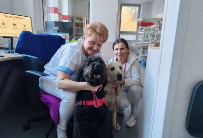 Keď liečia labky. Canisterapia si vo zvolenskej nemocnici našla svoje pevné miesto